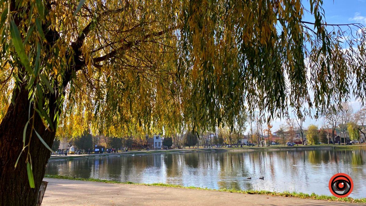 Майже морозний ранок: погода у Коломиї 9 листопада