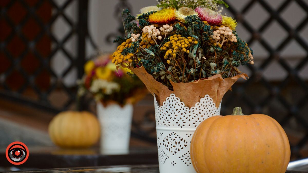 У Коломиї відкрилася нова піцерія "SENIOR" 8