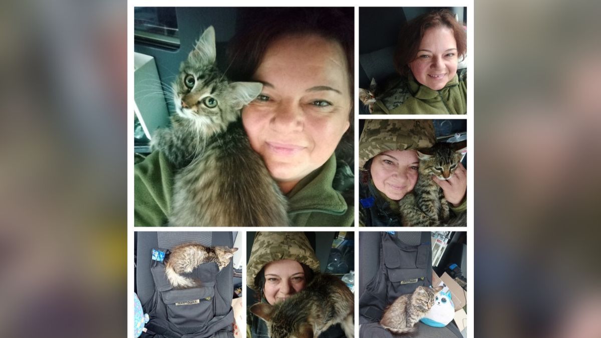 "Мене завжди переслідували думки, що коли я піду на війну, то вона нарешті закінчиться" | Інтерв'ю з військовим медиком 3