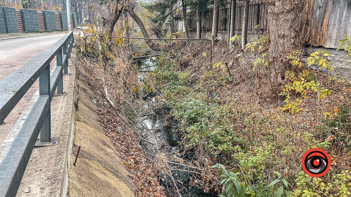 Зрізали і кинули в ріку: міська рада і обленерго сперечаються, чиї гілляки