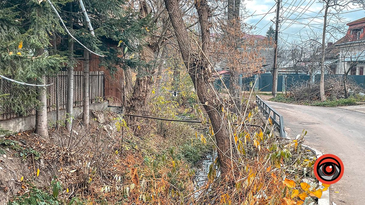 Зрізали і кинули в ріку: міська рада і обленерго сперечаються, чиї гілляки 2