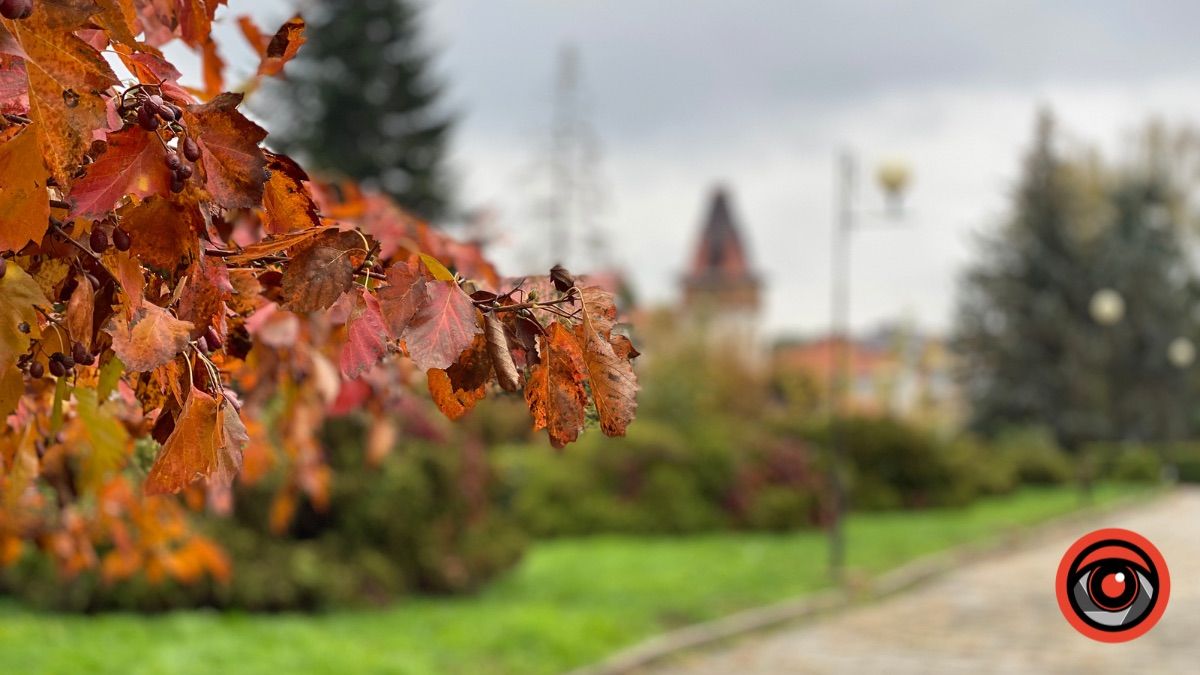 За три дні до снігу: погода у Коломиї 14 листопада