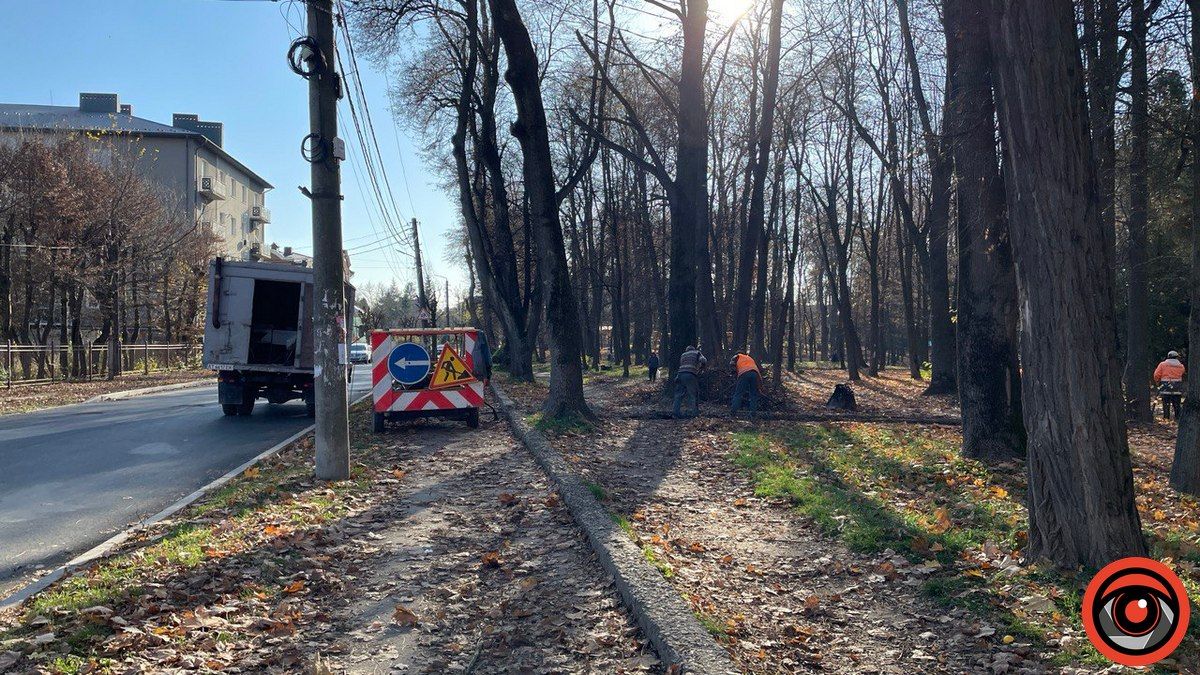 Що з обіцянок мера щодо міського парку Коломиї справдилося? 13