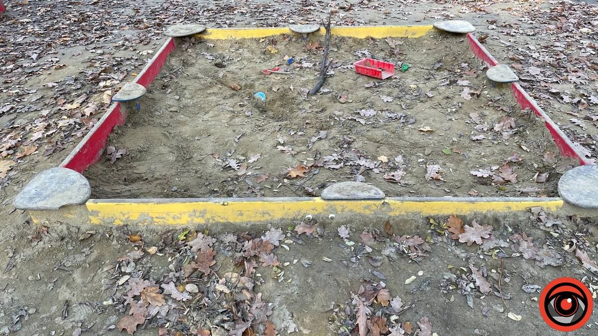 Що з обіцянок мера щодо міського парку Коломиї справдилося? 10