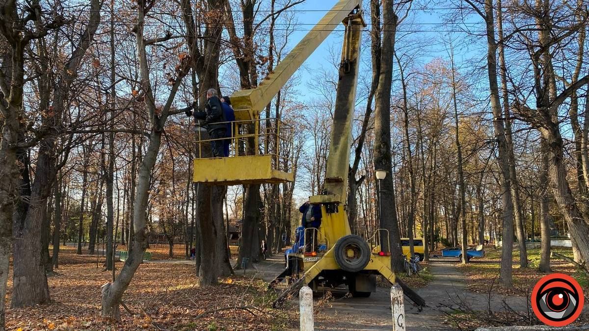 У парку Коломиї продовжують зрізку 5