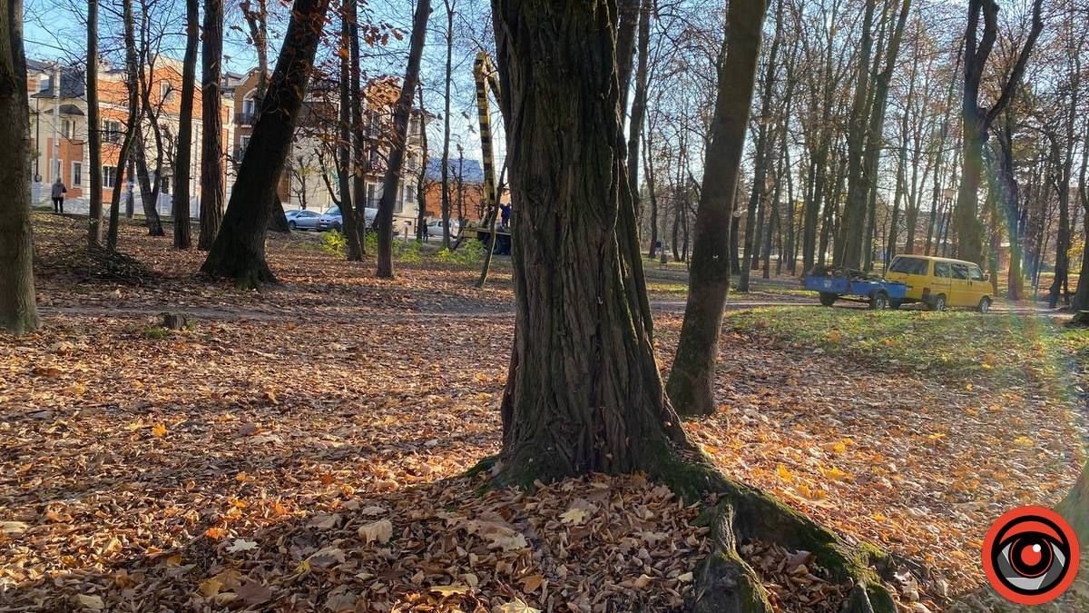 У парку Коломиї продовжують зрізку 1
