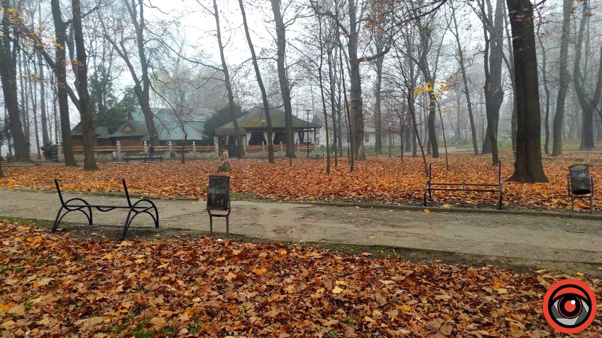 У міському парку Коломиї реставрують лавки 2