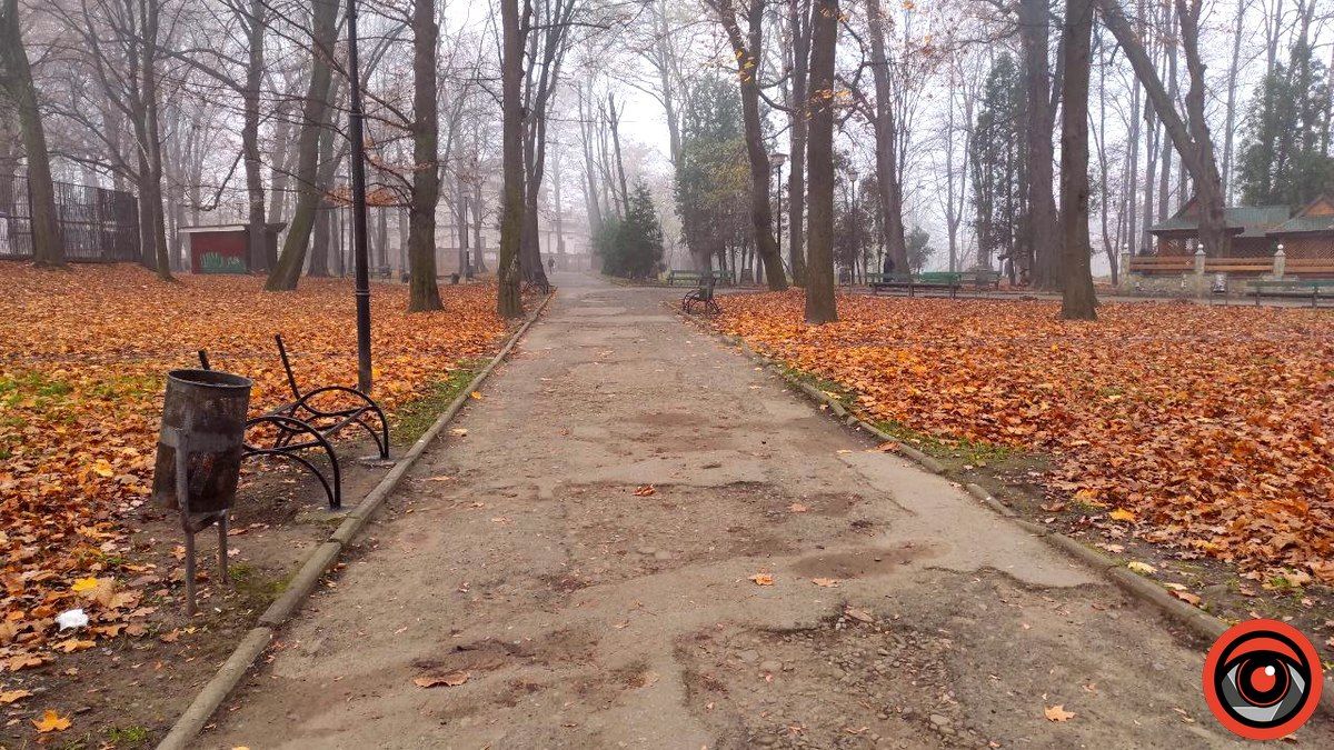 У міському парку Коломиї реставрують лавки 1