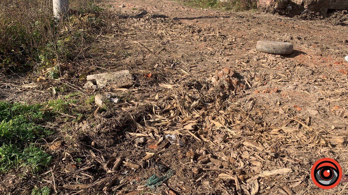 Що смердить: депутати і активісти розбиралися, що трапилось на консервному заводі у Коломиї 7