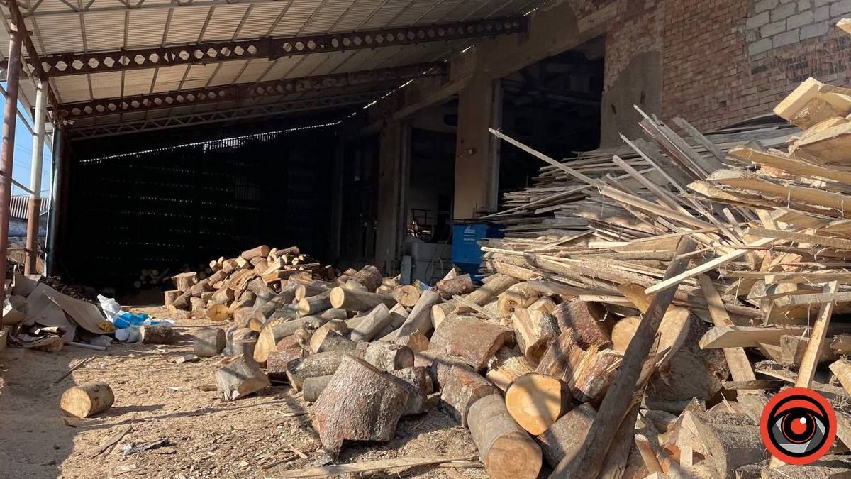 Що смердить: депутати і активісти розбиралися, що трапилось на консервному заводі у Коломиї 5