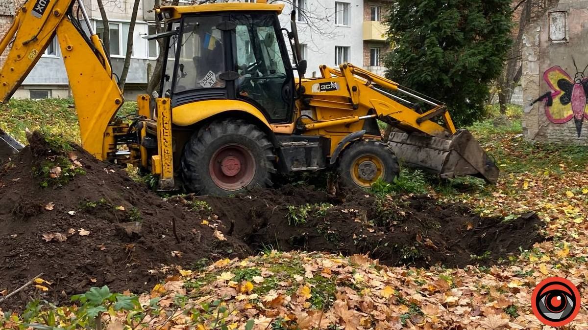 У міському парку Коломиї викорчовують пеньки 4