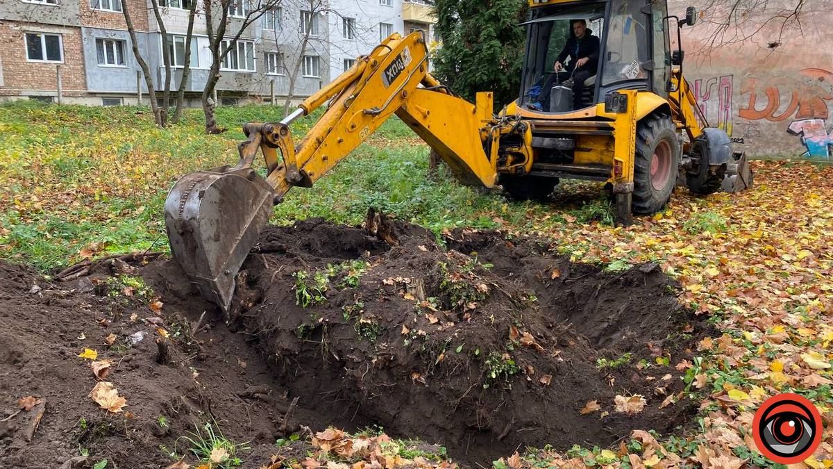 У міському парку Коломиї викорчовують пеньки