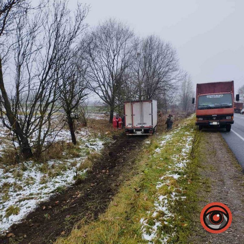 Неподалік Заболотова вантажівка врізалась в дерево 1