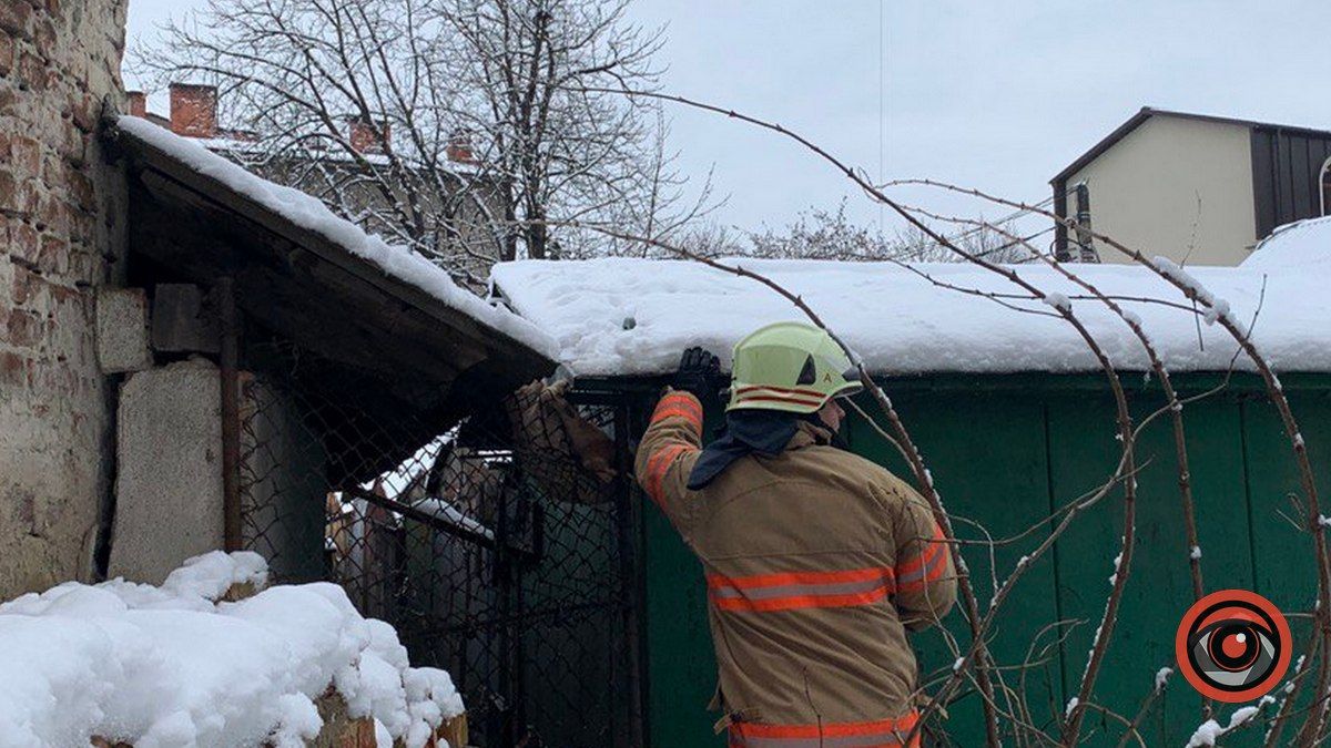 Порятунок рудого: у Коломиї надзвичайники виручали котика 3