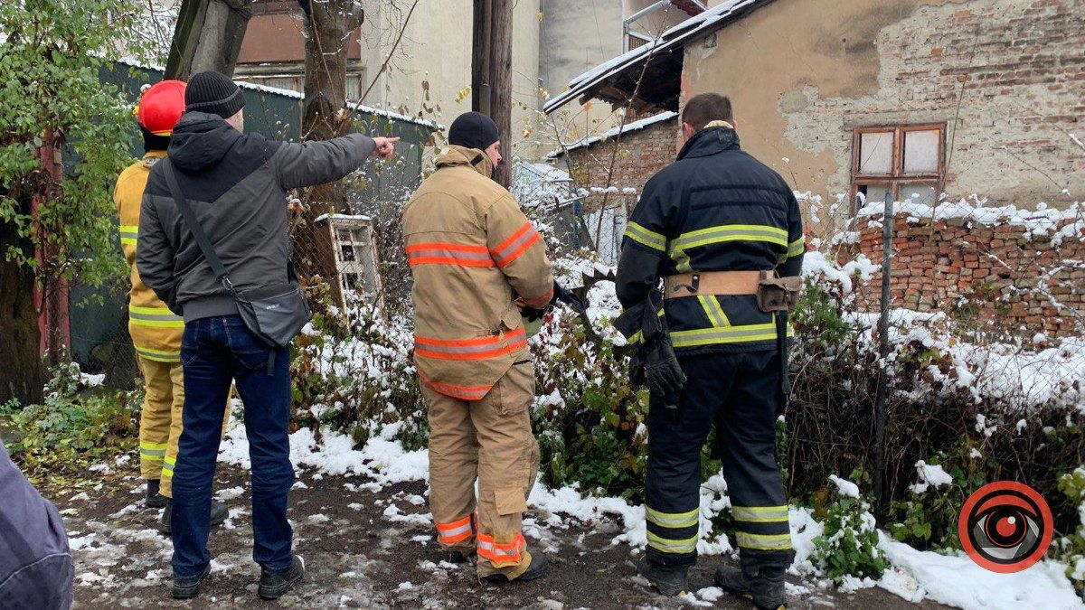 Порятунок рудого: у Коломиї надзвичайники виручали котика 1