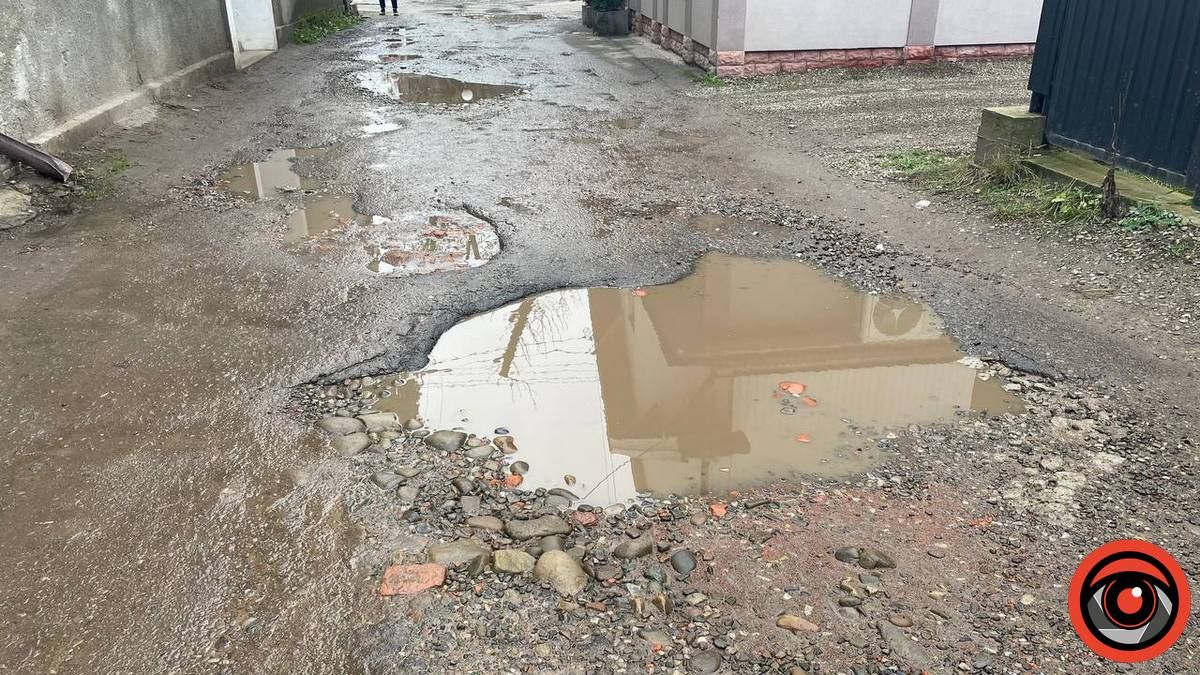 Мешканці бульвару Лесі Українки просять полатати ями 7