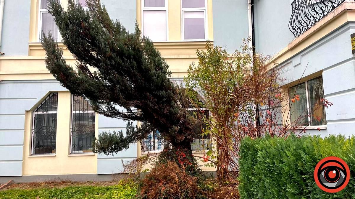 Погода у Коломиї 29 листопада