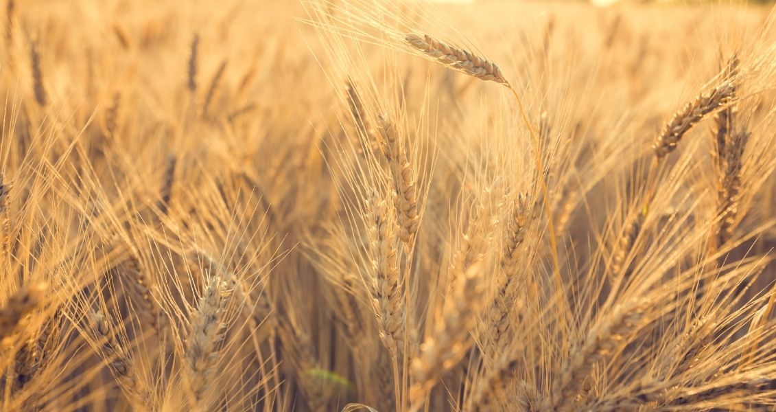 19 листопада: які сьогодні свята та кого привітати 2