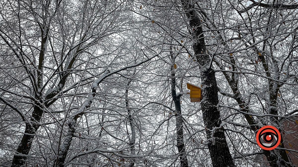 Коломия під першим снігом: фоторепортаж 13