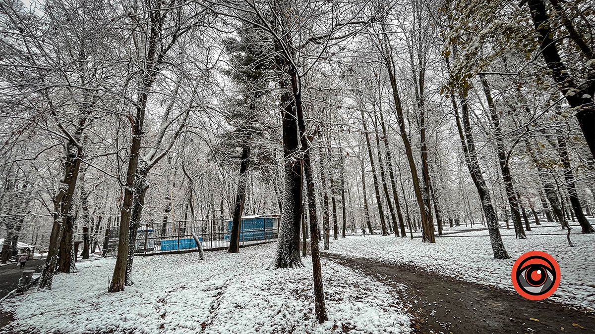 Коломия під першим снігом: фоторепортаж 12