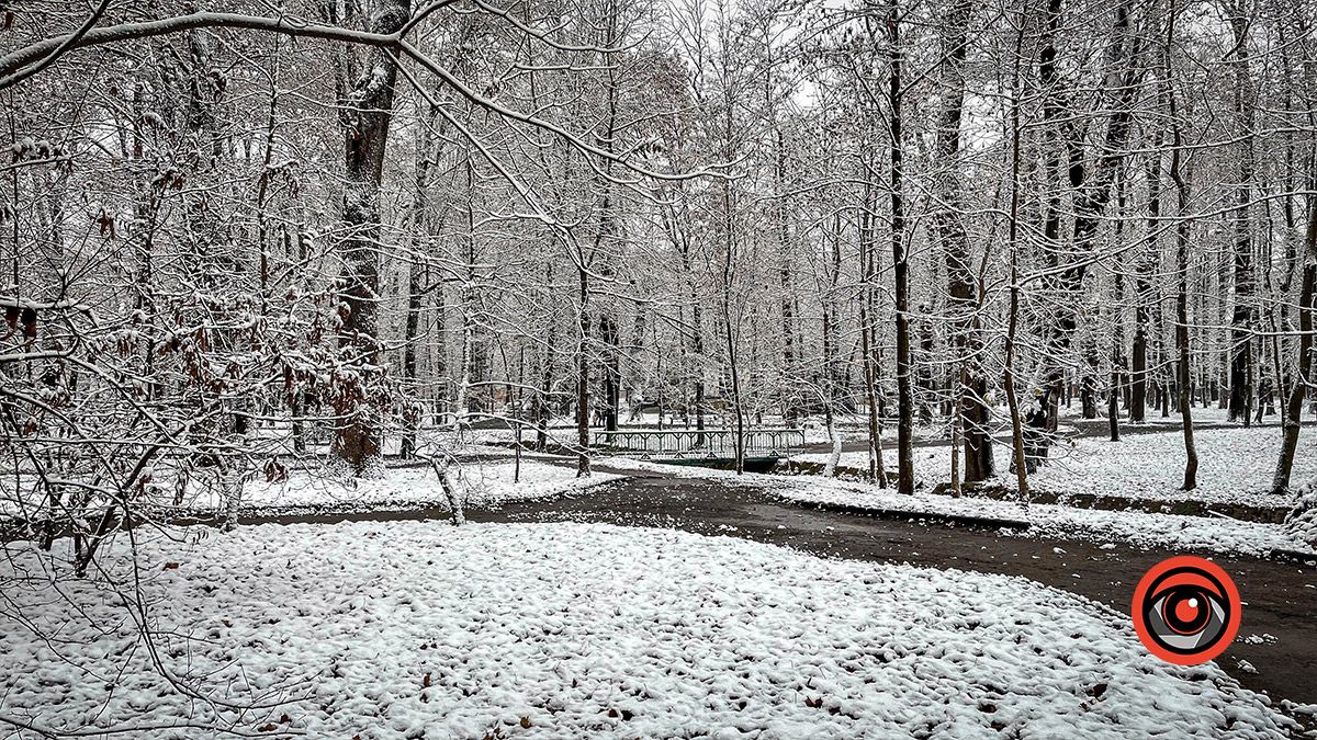 Коломия під першим снігом: фоторепортаж 14