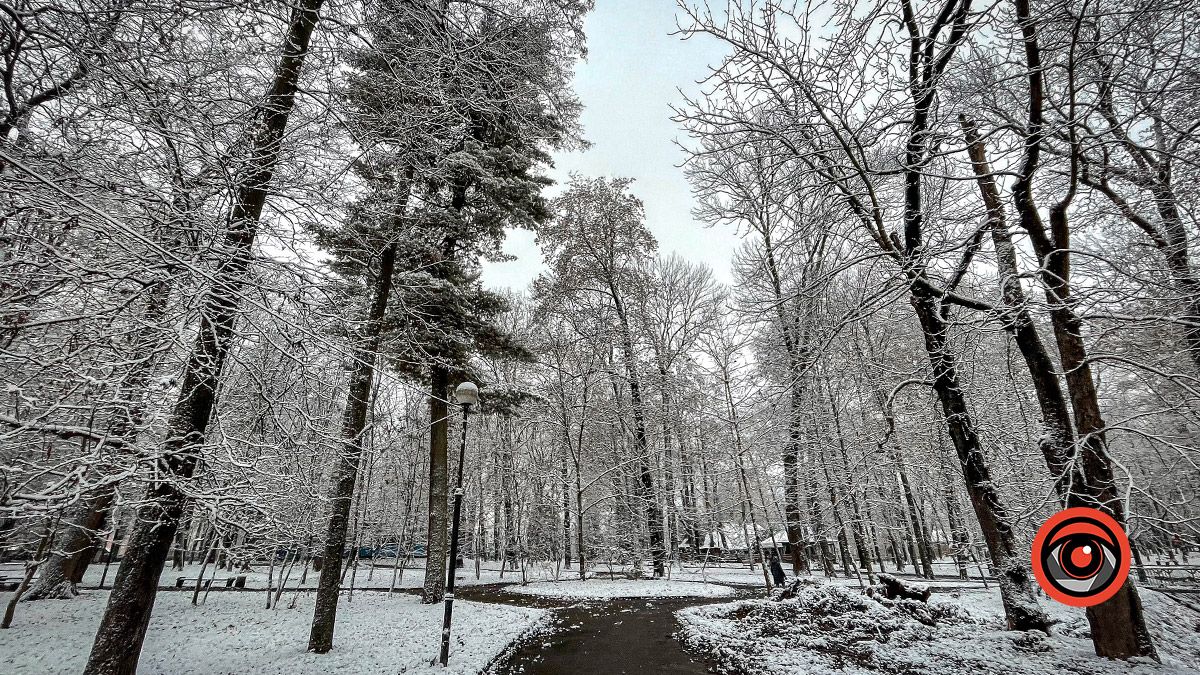 Коломия під першим снігом: фоторепортаж 15