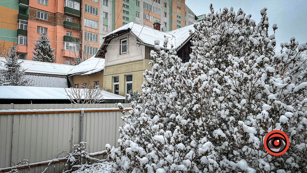 Коломия під першим снігом: фоторепортаж 19