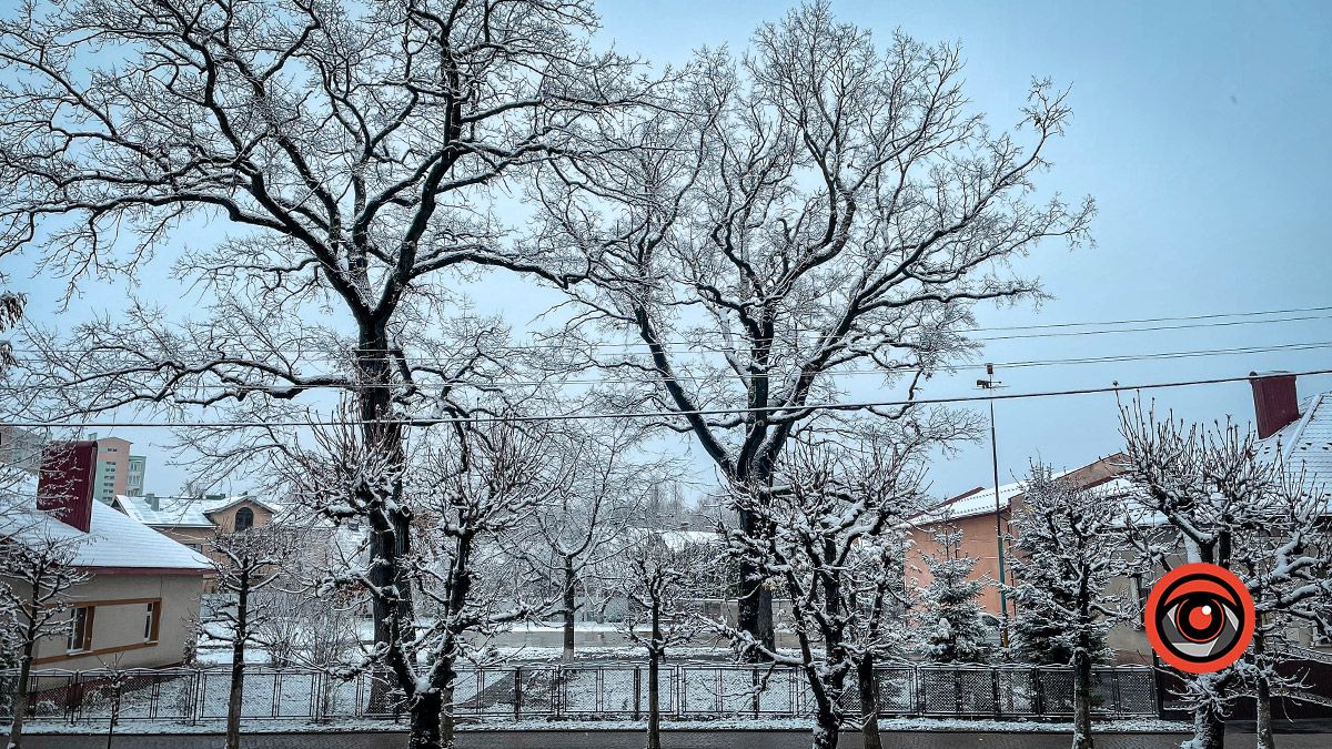 Коломия під першим снігом: фоторепортаж 2