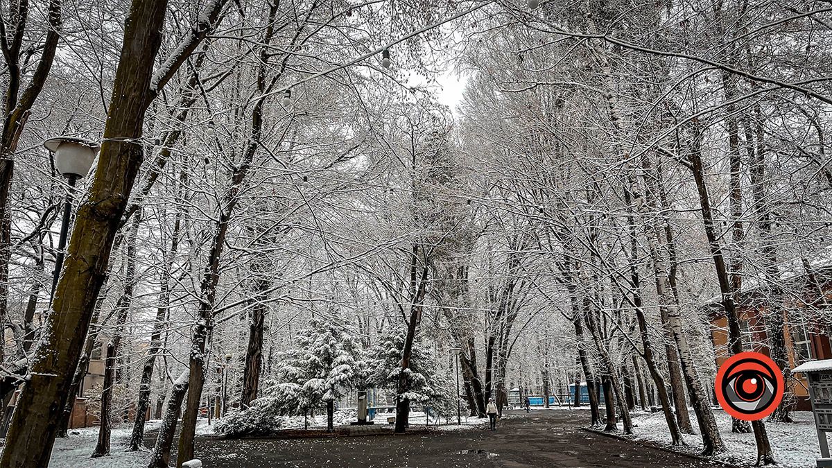 Коломия під першим снігом: фоторепортаж 8