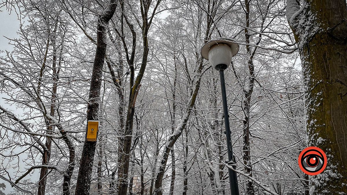 Коломия під першим снігом: фоторепортаж 9