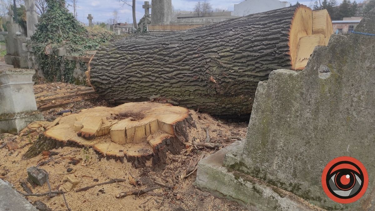 10 скандалів 2022 року у Коломиї 5