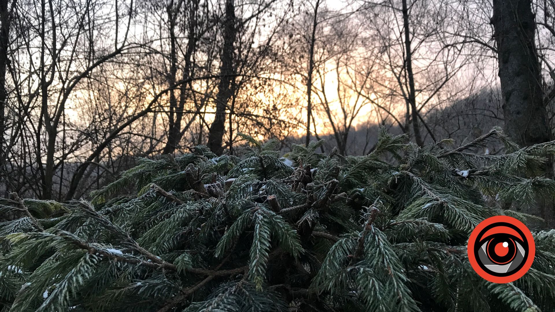 Погода у Коломиї на 26 грудня