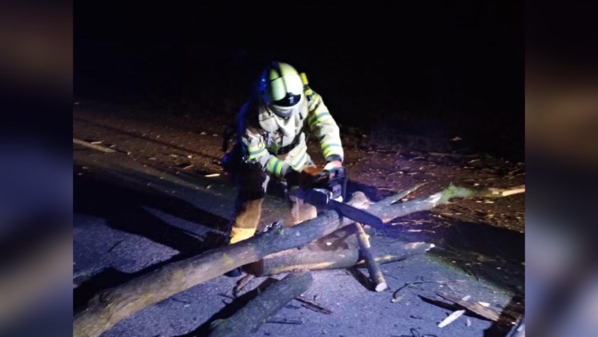 Коломийські рятувальники звільнили проїжджу частину дороги від дерева 1