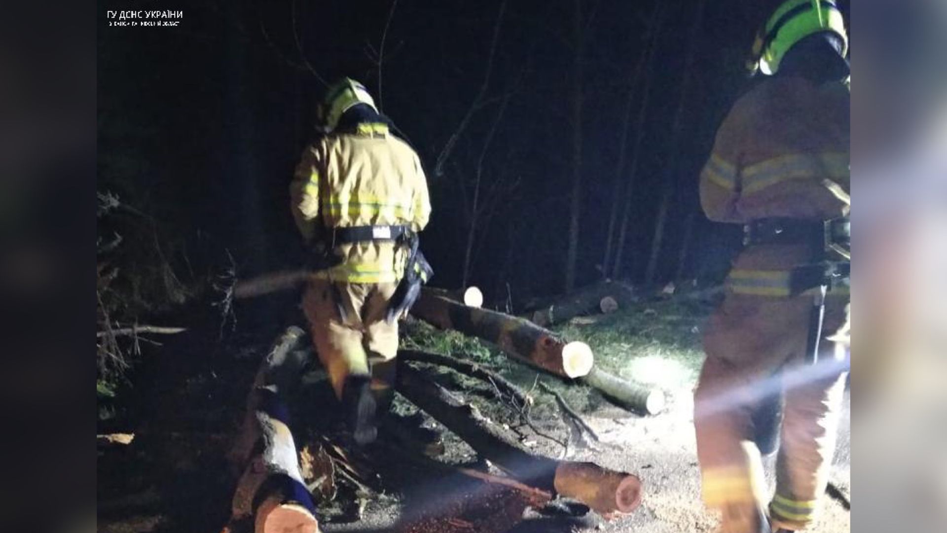 Коломийські рятувальники звільнили проїжджу частину дороги від дерева