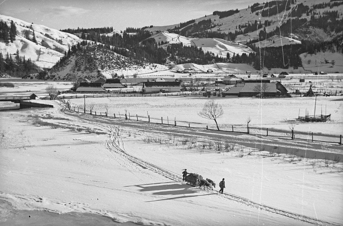 Сторічні зимові фото Ворохти, Татарова і Верховини / Жаб'є 11
