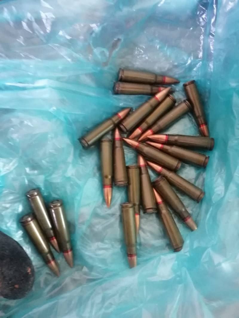 Озброєну групу, яка вирощувала плантацію канабісу на Прикарпатті, судитимуть 3