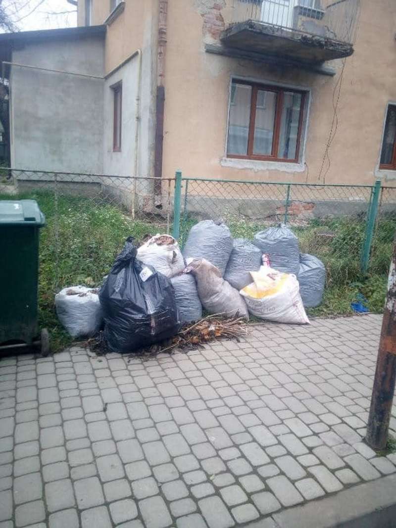 Сміття вивозили ковшем: результати толоки у Коломиї 1