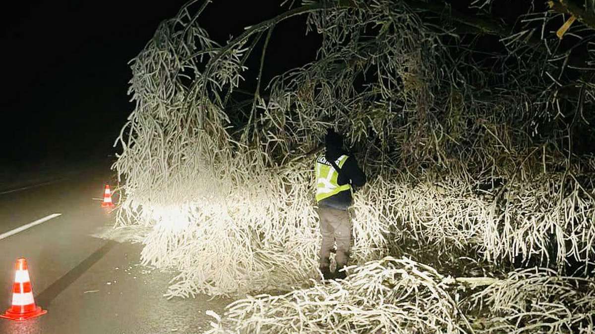 Поліцейський самотужки ліквідував блокування траси у Лісній Слобідці