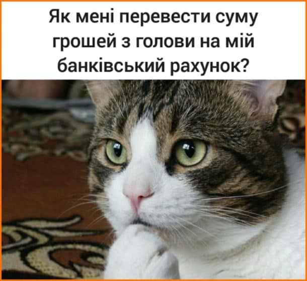 Вітання волонтерам: кілька слів та мемів 5