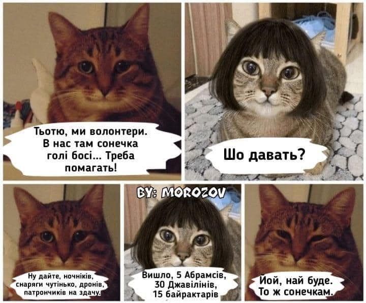 Вітання волонтерам: кілька слів та мемів 6