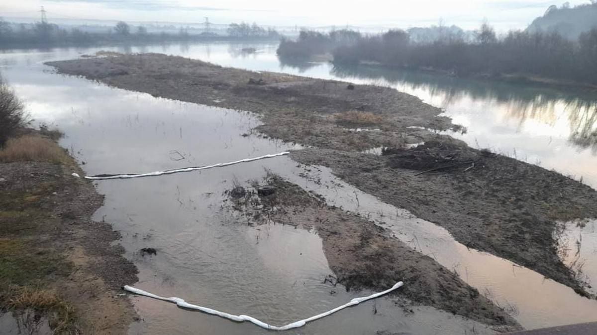 Яка концентрація нафтопродуктів у Дністрі зараз? 1