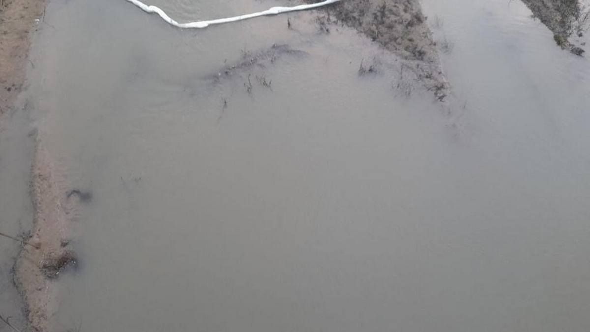 Яка концентрація нафтопродуктів у Дністрі зараз? 2