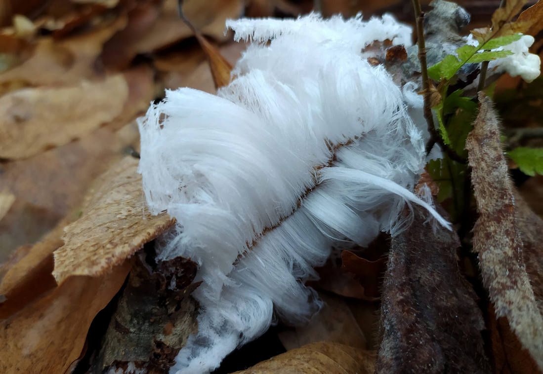 На Косівщині побачили цікавий феномен природи. ФОТОФАКТ 3
