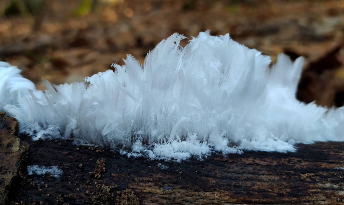 На Косівщині побачили цікавий феномен природи. ФОТОФАКТ 1