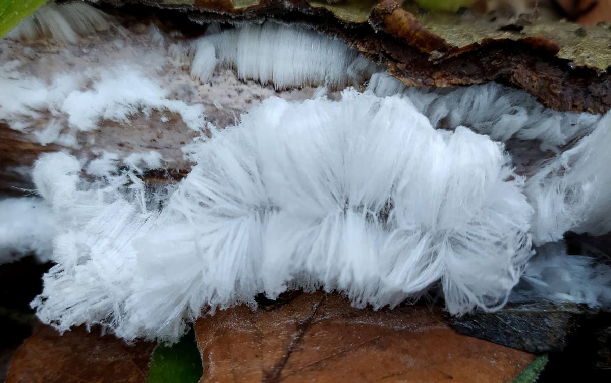 На Косівщині побачили цікавий феномен природи. ФОТОФАКТ 2