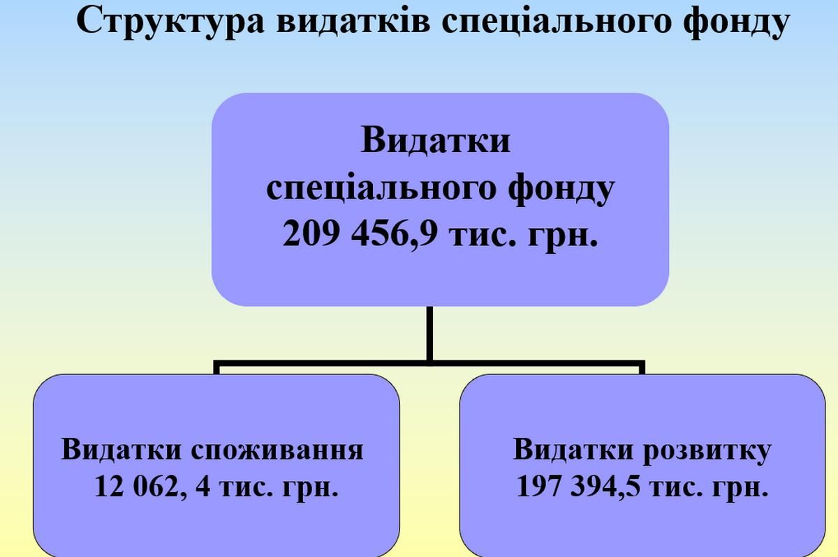 Бюджет Коломиї на 2023 рік- понад мільярд: інфографіка 9