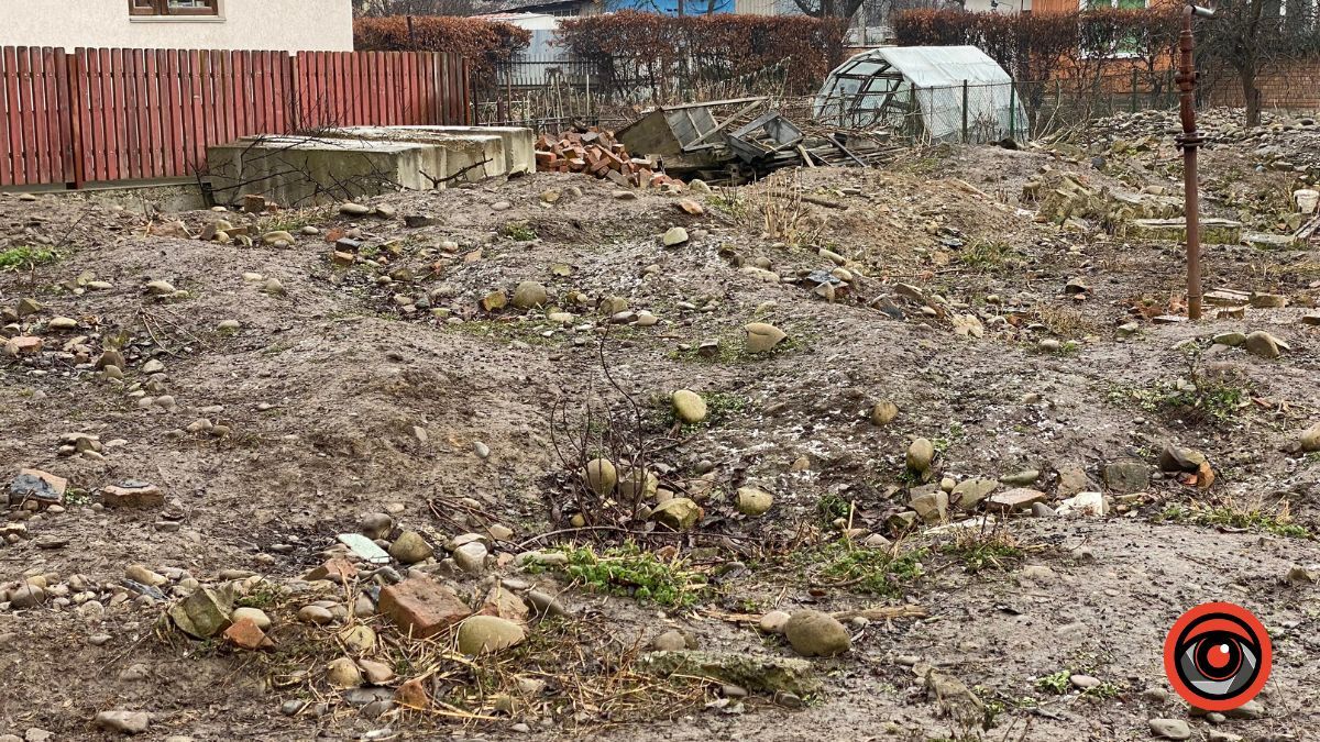 Холодні та голодні | У Коломиї на приватній ділянці вівці не живуть, а виживають 1