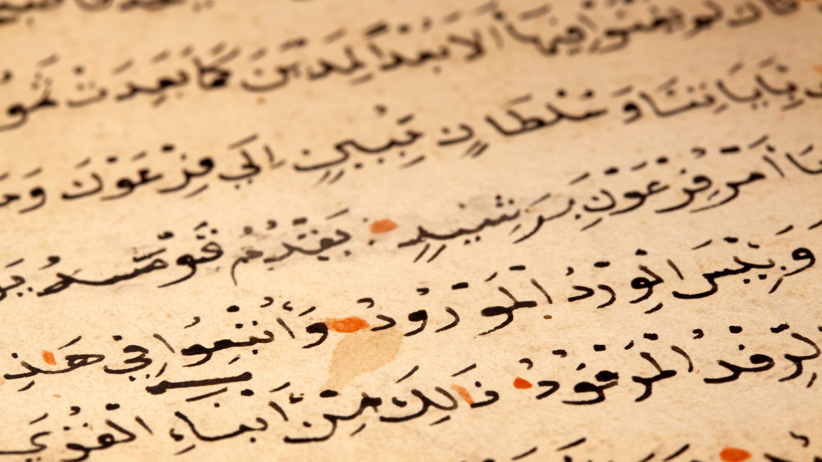 Який сьогодні день? | 18 грудня 3