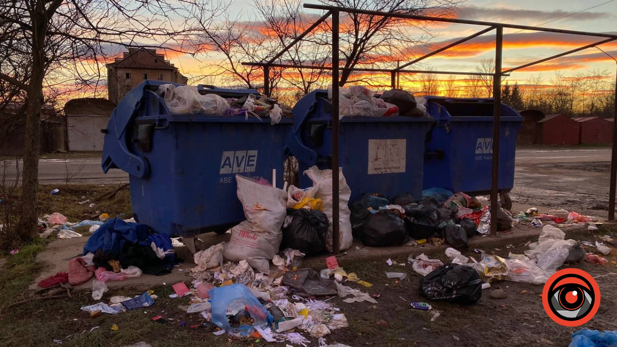 Сміттєвий колапс у житловому масиві Леонтовича 1