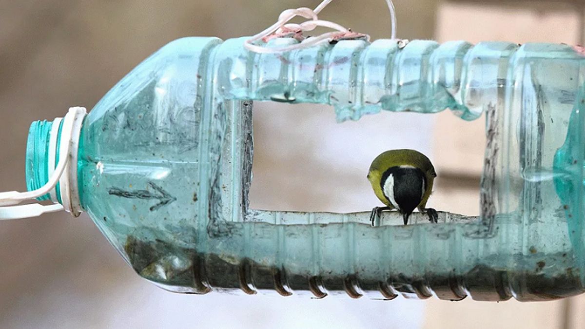 Як власноруч зробити годівничку 4